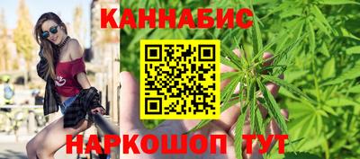 прущие грибы Пушкино